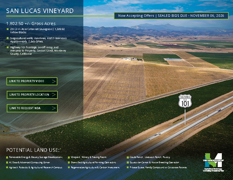San Lucas Vineyard San Lucas Vineyard