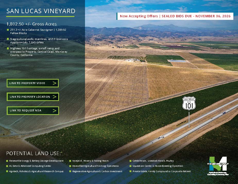 San Lucas Vineyard