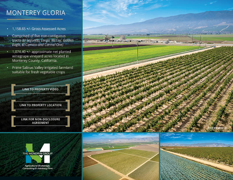 Monterey Gloria Monterey Gloria